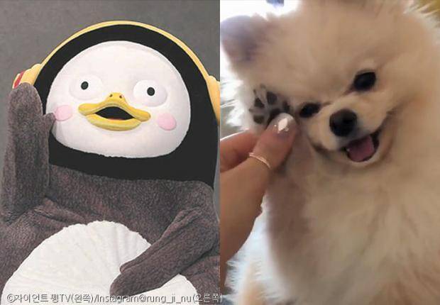 출처: 사진=Instagram/rung_ji_nu(오른쪽)