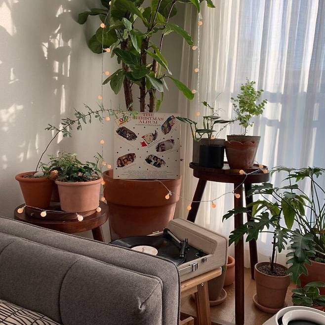 출처: 오늘의집 제품정보 모아보기(▲이미지클릭)