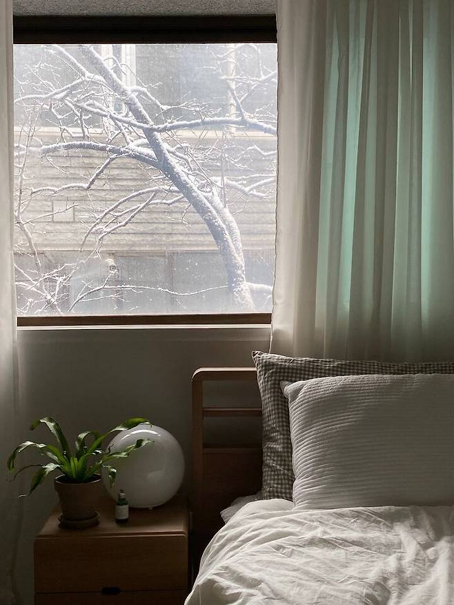 출처: 오늘의집 제품정보 모아보기(▲이미지클릭)