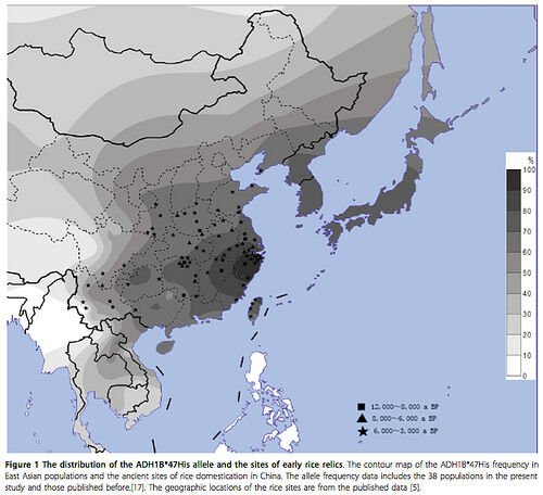출처: Yi Peng, The ADH1B Arg47His polymorphism in East Asian populations and expansion of rice domestication in history,2010