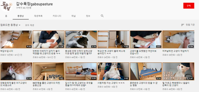 출처: 갑수목장 유튜브 채널 캡쳐
