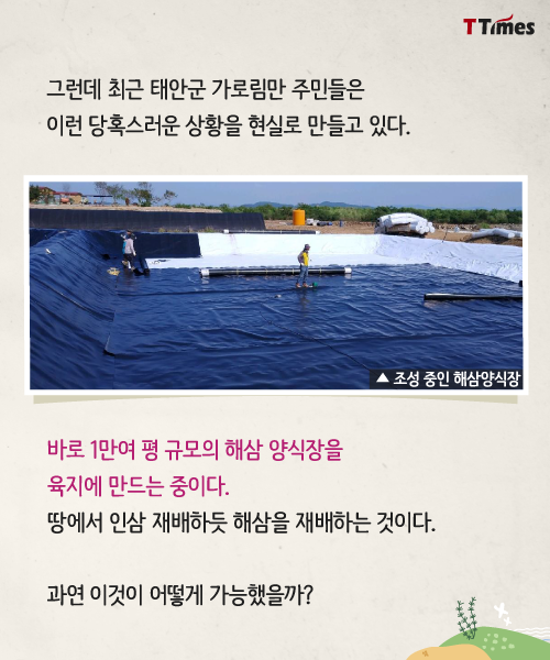 출처: 한국어촌어항공단
