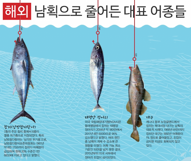 어린이과학동아 DB