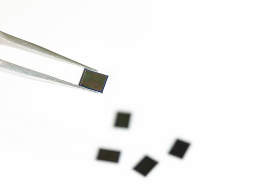 삼성전자 10일 출시한 이미지센서인 '아이소셀 JN1'. 픽셀이 세계에서 가장 작은 크기인 0.64마이크로미터다. [사진 삼성전자]