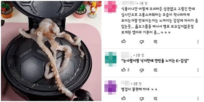 한 유튜버가 와플을 굽는 기계로 산낙지를 누르는 영상을 올렸다. 해당 영상을 두고 누리꾼들은 상반된 반응을 보였다. /사진=유튜브 캡처