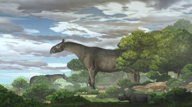 지구 역사상 가장 큰 지상 포유류인 고대 코뿔소의 새로운 종 ‘P.린샤엔세(linxiaense)’ 화석이 중국에서 발굴됐다. 사진은 상상도.