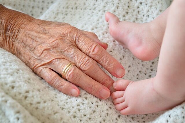 기네스 세계기록은 미국 '7세대 대가족'이 가지고 있다. 기록을 세운 1989년 1월에 1대 109세 남성의 6대 손주가 태어났다.