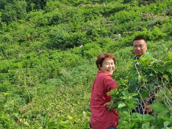 명이밭 한 가운데의 울릉도 자연인, 정헌종씨와 신계숙 교수. 울릉도=전수진 기자
