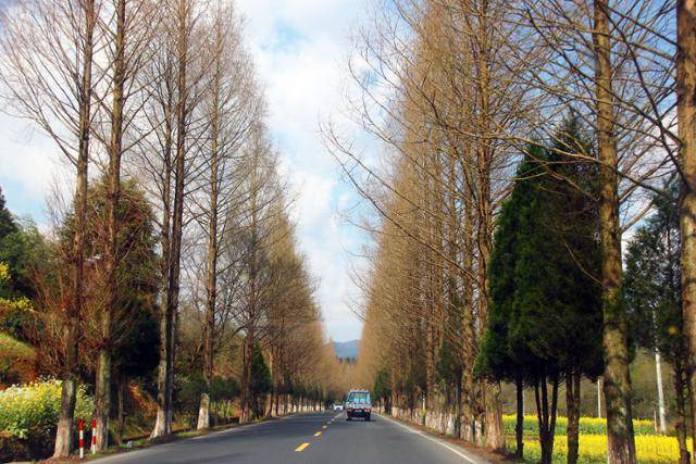 황산시 이현 굉촌으로 가는 길. ⓒ최종명