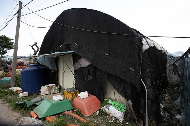 컨테이너 위로 검은 차양막을 덮어 외관은 창고나 비닐하우스로 보인다. ⓒ시사IN 이명익