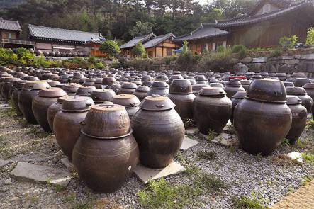 고은정 한국간장협회 이사는 “씨간장을 새로 담근 간장에 넣으면 맛이 깊어지고 더 좋은 맛이 난다”고 했다.