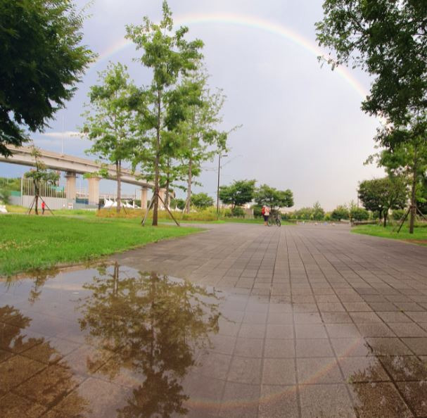 19일 서울 한강시민공원 성산지구에서 바라본 하늘에 쌍무지개가 떠 있다. 연합뉴스