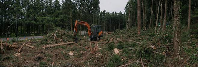2019년 7월 공사 재개 당시 모습. 굴착기 주변으로 나무들이 쓰러져 있다.