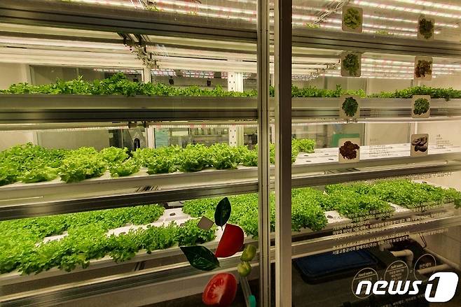 서울지하철 2호선 을지로3가역에 조성된 실내 수직 스마트 팜 © 뉴스1 황덕현 기자
