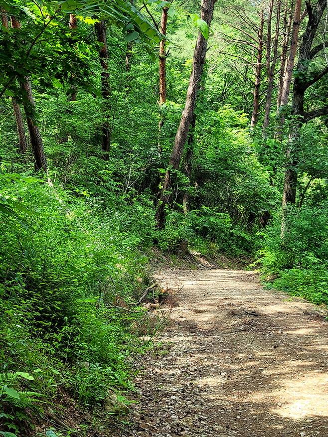 내가 길의 공간을 들어가는 것인지, 길이 나를 이끄는 것인지…
