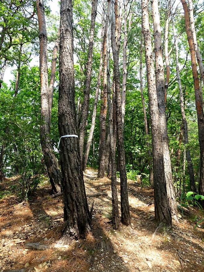 돈과 지위를 얻었는데, 사람이 없다.