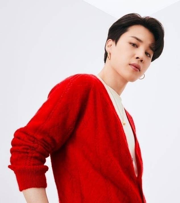 방탄소년단 지민(BTS JIMIN)