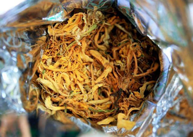 만청 산골 금은화 재배단지에서 생산한 금은화 찻잎. ⓒ최종명