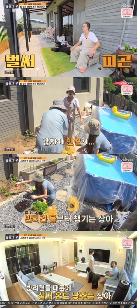 Actor Sang-Ah Lee appeared on TV CHOSUN current affairs program Sentence of Golden Time broadcast on the 27th.Sang-Ah Lee, who said he was seven months old, unveiled his current residence.Sang-Ah Lee cleaned the cobwebs of the houses exterior and quickly found it difficult: when she had to clear the garden, she eventually called her daughter and asked for help.So Sang-Ah Lee, his mother, and Sang-Ah Lees daughter, three people planted lettuce together and Sang-Ah Lee was reeling, saying, My head is pinging in the weather that rose to 38.7 degrees at the time of shooting.Nevertheless, Sang-Ah Lee showed more concern about puppy than he did with the water of puppy. The love for puppy continued even after work and went home.Sang-Ah Lee was hot for elongation but watered the puppy first and kept the room temperature at 19 degrees for the puppy.Since then, Sang-Ah Lee has had time to play Sooyoung with his dogs.He helped Sooyoung by lifting the puppys up for the joints of the puppys.At over 20kg of puppy weight, Sang-Ah Lee was exhausted but repeatedly helped with the workout.In the meantime, Sang-Ah Lees daughter went on a dish for Sang-Ah Lee.Asked if she does it often as usual, Sang-Ah Lee replied, I do not do well, but my daughter often does.He cooked North and Stick, while Sang-Ah Lee appeared at odds, making it difficult to even use induction.The three gathered together to have a meal prepared by Sang-Ah Lees daughter and Sang-Ah Lee was the first to finish the meal.Asked if he usually eats fast, Sang-Ah Lee explained: It became a habit; I think theres something left that I was forced to eat in a hurry when I was a child.Meanwhile, Sang-Ah Lee revealed that he had been diagnosed with a Cervical cancer early in 2004; he said: It was early, so I just took the tissue mass off.Then I got sick because of my menstrual pain and suddenly it happened. In recent years, I went to the hospital with a blood loss, he said.  (I went to the hospital)I heard that if stress and immunity are low, I can get vaginitis. Photo: TV CHOSUN broadcast screen