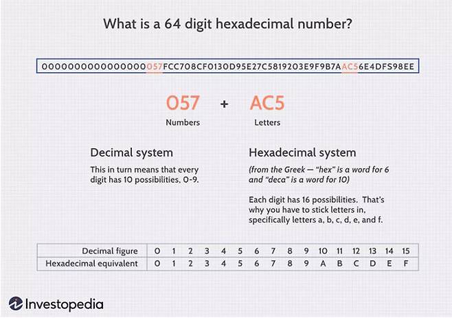 비트코인 블록의 64자리 16진수
