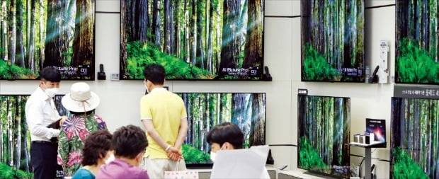 서울 시내의 한 가전업체 영업점에서 소비자들이 매장 직원으로부터 제품 설명을 듣고 있다. /한경 DB