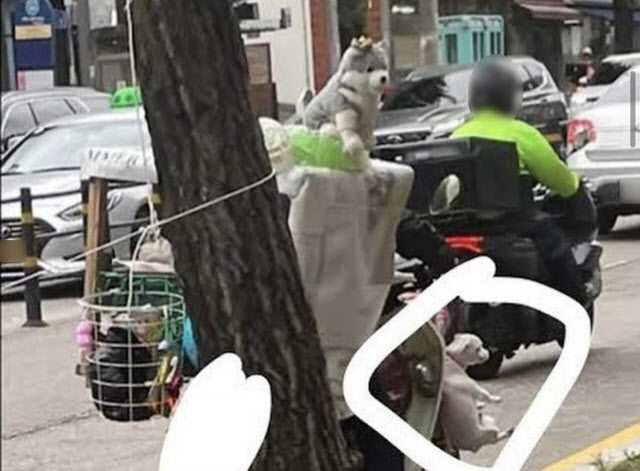 강아지를 이륜차에 매달아 주행하는 사진이 공개돼 누리꾼들의 공분이 일고 있다. (사진=케어 SNS)