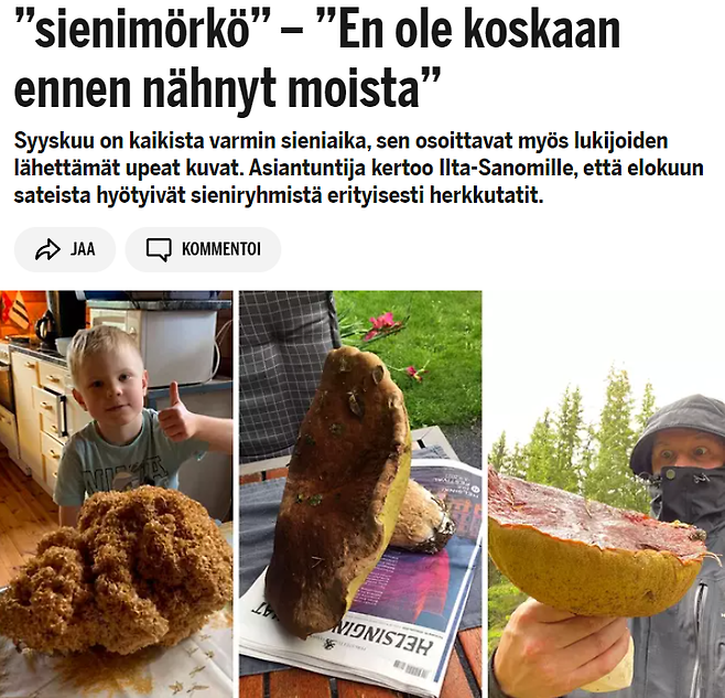 핀란드 일간지에서 다룬 핀란드 인들이 SNS에 올린 자신이 딴 버섯 사진. (사진=Iltasanoamt 온라인 뉴스 캡쳐)