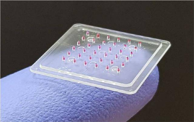 마이크로니들 패치. 부산대기술지주회사 제공