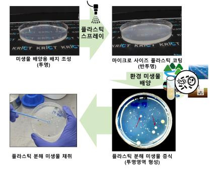 플라스틱 분해 미생물 채취 과정 [한국화학연구원 제공. 재판매 및 DB 금지]