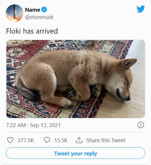 머스크가 13일(현지시간) “플로키가 돌아왔다”고 트윗했다(사진=트위터)