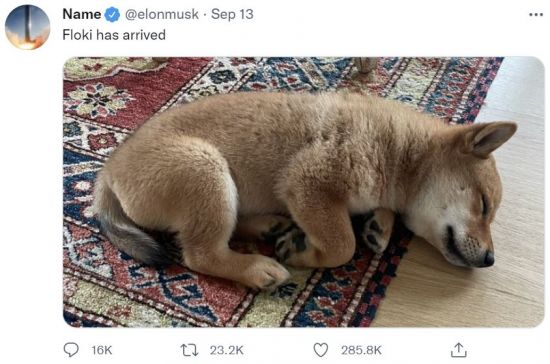 13일(현지시간) 일론 머스크 테슬라 최고경영자가 트위터를 통해 강아지 '플로키'를 입양했다고 밝히자 일부 가상화폐들이 급등했다. (출처=일론 머스크 트위터)
