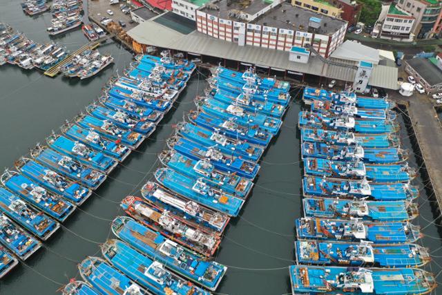 14호 태풍 '찬투(CHANTHU)'가 북상 중인 16일 오전 제주 서귀포시 서귀포항에 어선들이 높은 파도를 피해 정박해 있다. 뉴시스