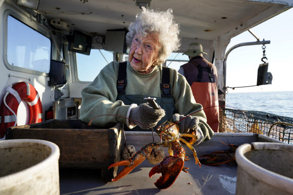94년의 경력을 지닌 버지니아 올리버(101) 할머니가 지난달 31일 랍스터 어획에 나섰다. 록랜드=AP연합