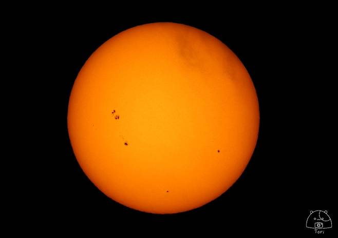 태양 흑점이 광구 여러 곳에서 보인다. 왼쪽 아래의 큰 흑점은 지구보다도 큰 것이다. 9월 8일 대전에서 촬영.(사진=도토리햄토리)