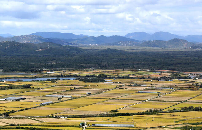 Fields in Cheorwon County, along the inter-Korean border, show off their fall colors on a clear day on Thursday. (Kim Tae-hyeong/The Hankyoreh)