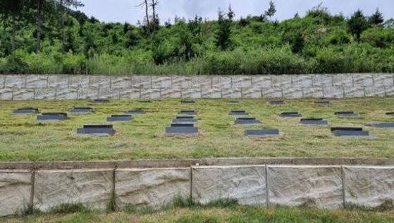 벌초를 마쳐 말끔해진 종중묘역.