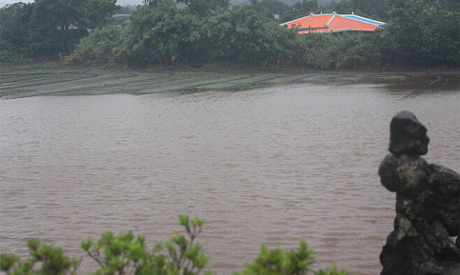 제14호 태풍 ‘찬투'가 제주를 지나는 17일 서귀포시 성읍면의 한 월동무밭이 폭우에 침수돼 있다. 뉴시스