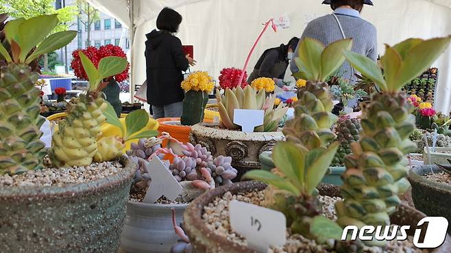 고양시는 올 봄에 이어 일산호수공원 꽃전시장 주변에서 다음달 1~11일 동안 화훼직거래장터를 운영한다. (고양국제꽃박람회 제공)© 뉴스1