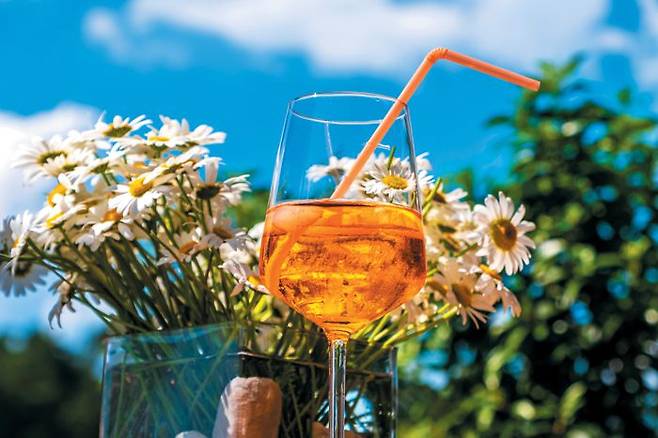 오렌지 와인은 화이트 와인용 포도를 껍질째 발효해 오렌지빛을 띠는 와인이다. /pixabay