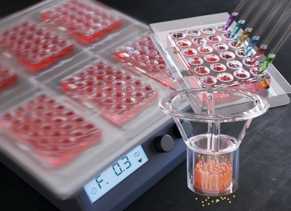 영국왕립화학회에서 발간하는 미세유체역학 및 마이크로타스 분야의 권위 국제학술지인 '랩온어칩(Lab on a Chip)'의 뒷표지 사진. POSTECH 제공