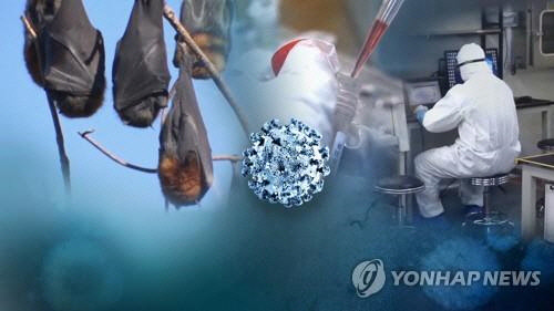 코로나19, 실험실서 유출됐나…진원지 둘러싼 추측난무. <연합뉴스>