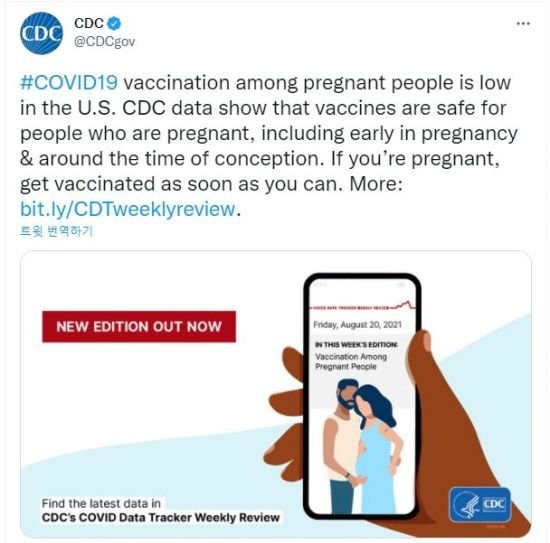 미국 질병통제예방센터(CDC)는 최근 임산부의 낮은 백신 접종률을 우려하며 예방 접종을 권고하고 있다. CDC 트위터 캡처