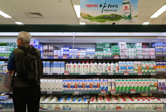 A customer looks at cartons of milk on the shelves of a discount store in Seoul Thursday. The Seoul Dairy Cooperative said Thursday that it will raise milk prices by an average 5.4 percent from the beginning of next month. With the country’s top milk provider raising prices, competitors like Maeil Dairies and Namyang Dairy Products are likely to raise prices soon. [YONHAP]