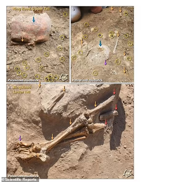 게다가 이 지역에서는 인간 두개골을 포함한 인골이 다수 발견됐는데 당시 폭발이 근처에 있던 사람들에게 극심한 탈골과 골격 파편화를 일으켰다고 연구진은 논문을 통해 설명했다. 이 중 한 두개골의 색깔은 주황색을 띄는데 이는 200℃ 이상의 기온에 노출됐음을 시사한다고 이들 연구자는 덧붙였다.(사진=사이언티픽 리포트)