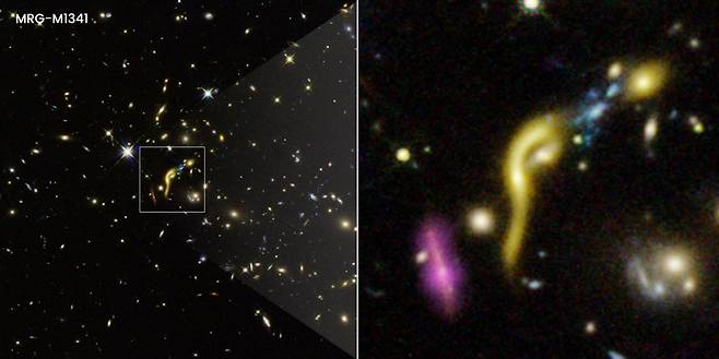 6개 죽은 은하 중 하나인 ‘MRG-M1341’ 사진=Joseph DePasquale(STScI)