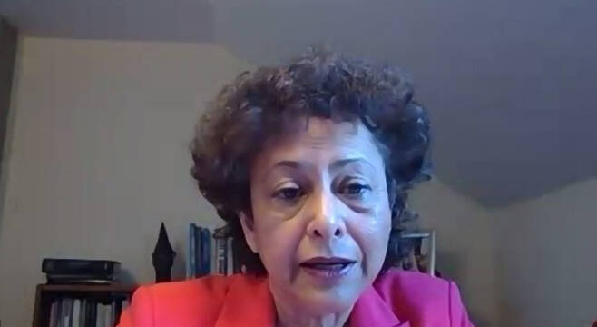 아이린 칸 유엔 의사·표현의 자유 특별보고관. 화상 캡쳐.