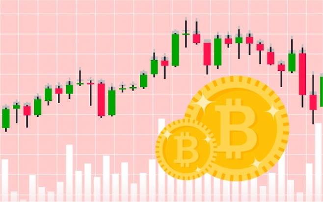 그래픽=이정주 디자이너