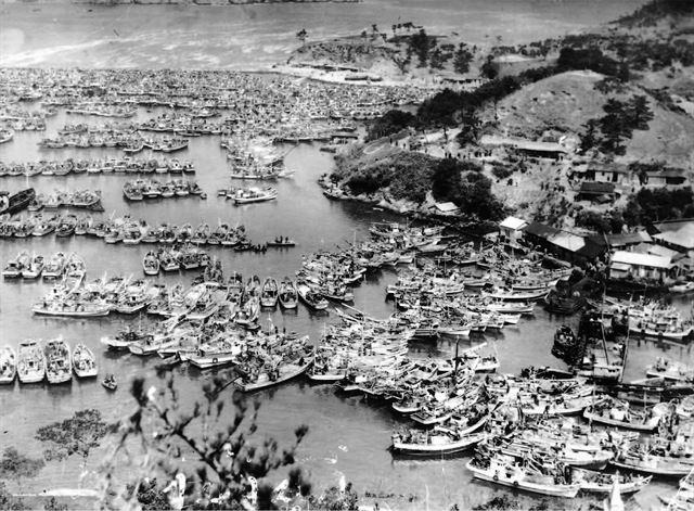 파시로 바다를 메웠던 1960년대 흑산도 예리항 풍경. 한국일보 자료사진
