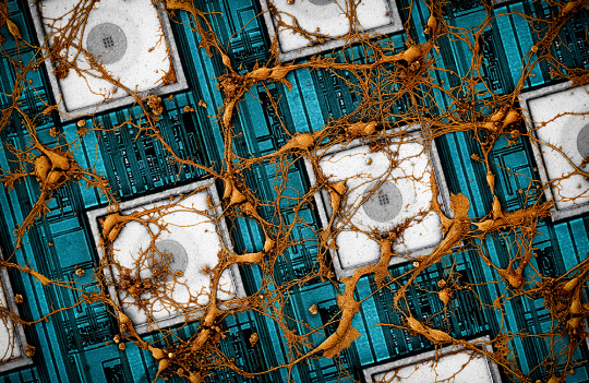 삼성전자와 하버드대가 공동 연구한 뉴로모픽 반도체 관련 논문이 세계적 학술지 '네이처 일렉트로닉스'에 게재됐다. 사람의 뇌 신경망을 모방하는 뉴로모픽 반도체 관련 모습.  <삼성전자 제공>