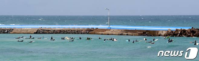 26일 오전 제주시 구좌읍 월정해수욕장에서 서퍼들이 파도를 타고 있다. 2021.9.26 /뉴스1 © News1 오현지 기자